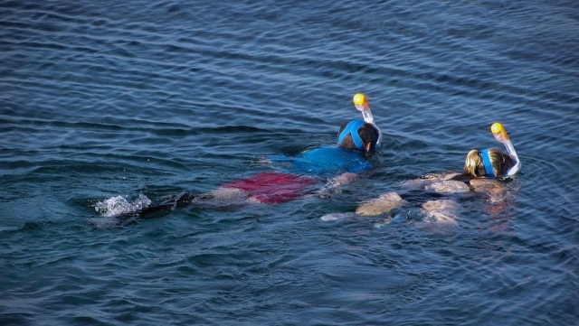  Viaje de snorkel en Calvi