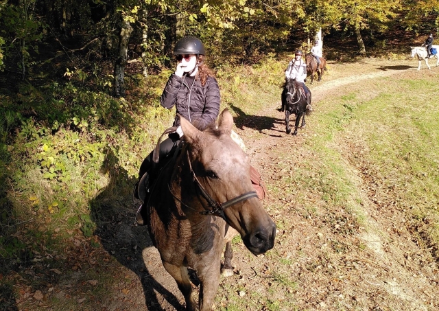 Paseo a caballo a tres ritmos 
