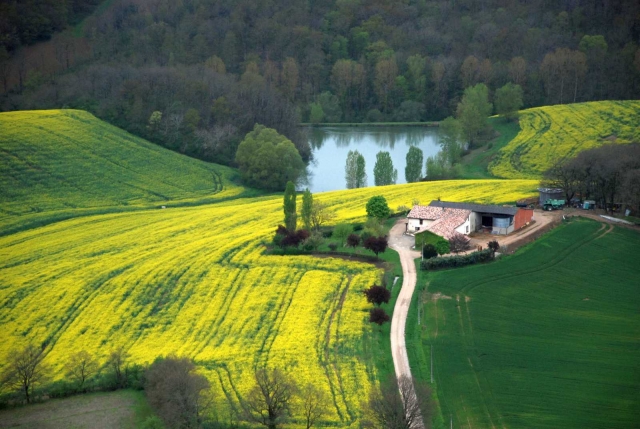 Colores impresionantes 