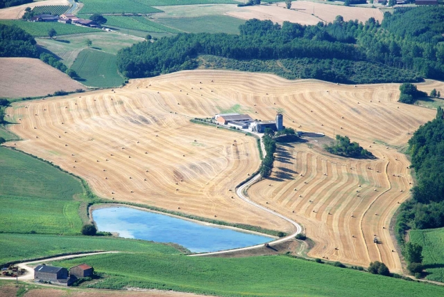  Campos hasta donde alcanza la vista 