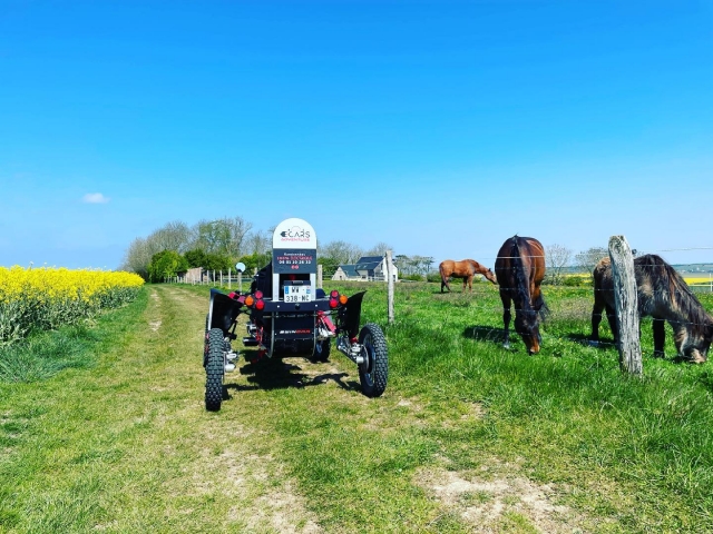  Paseo en swincar entre los campos 