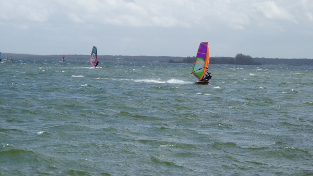 Windsurf en la Presqu'Ile de Champaubert 