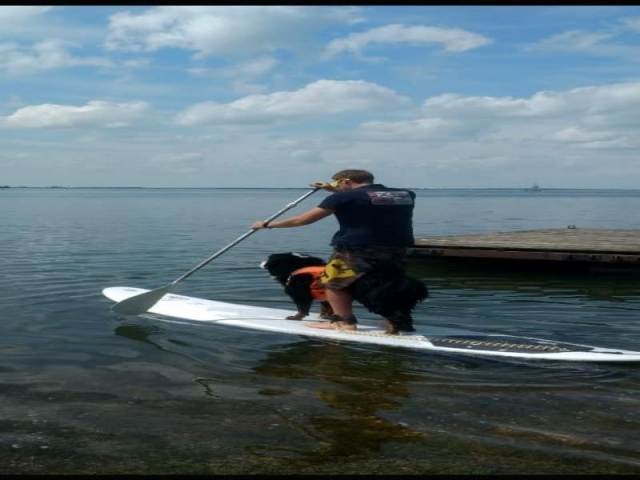  Stand Up paddle con su mejor cuale 