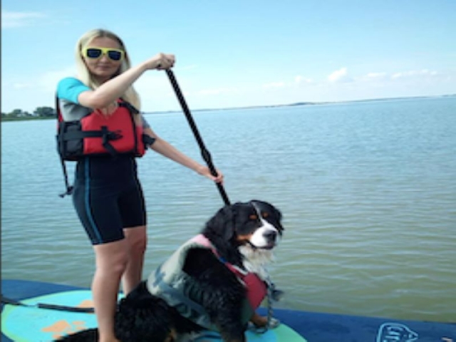 Paseo con tus mascotas en el paddle board 