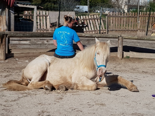  ¡Todos nuestros caballos están bien tratados! 
