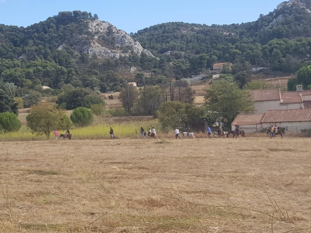  Pbaños a caballo cerca de Marsella 
