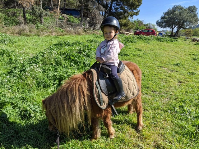  Aprende a subir en pony 