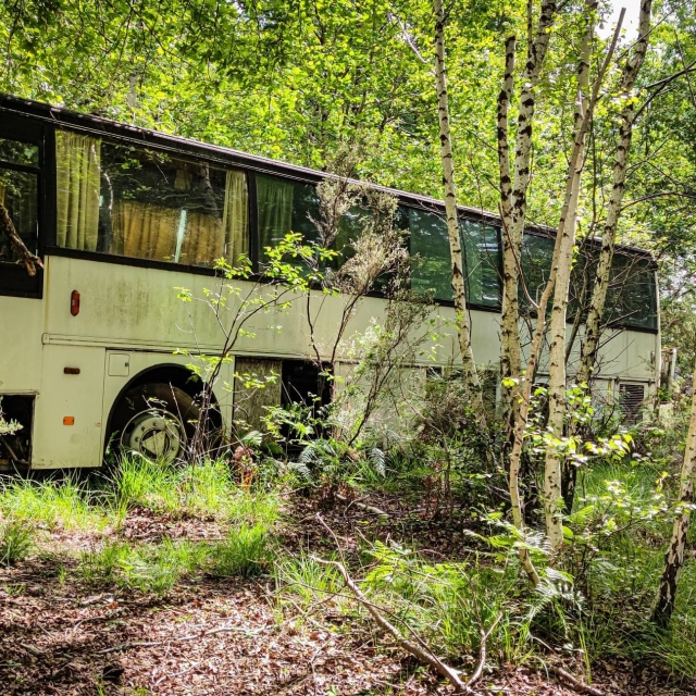  Un camioneta escondido en el campo