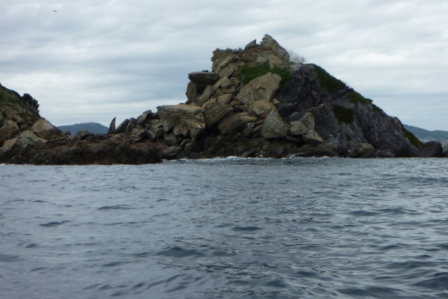  Kayak en el Var 
