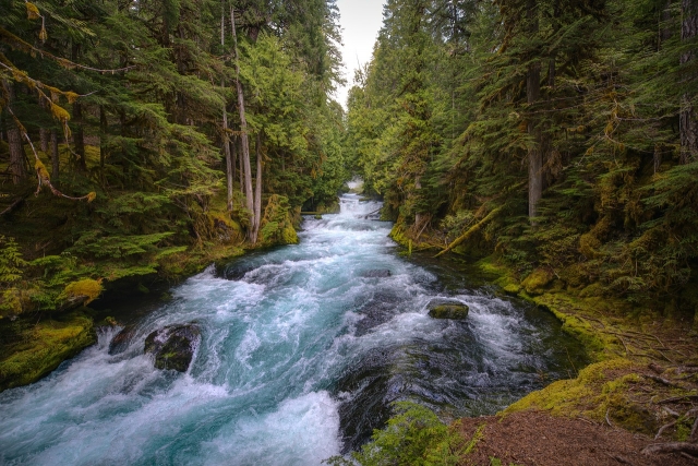  Explora la naturaleza encantadora 