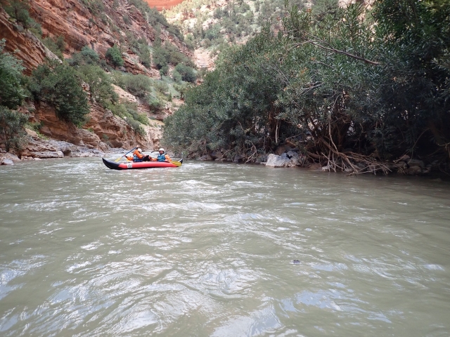  Explora la naturaleza encantadora 