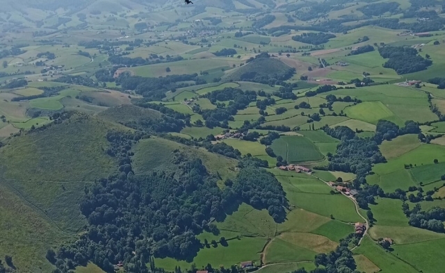  El campo vasco 