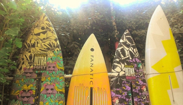  Renta su tabla de paddle board 