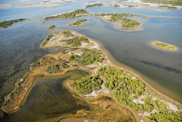  Paisaje de las Bocas del Ródano 