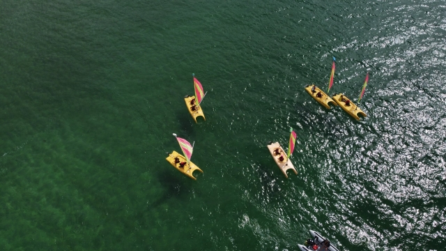Salida en grupo en el mar