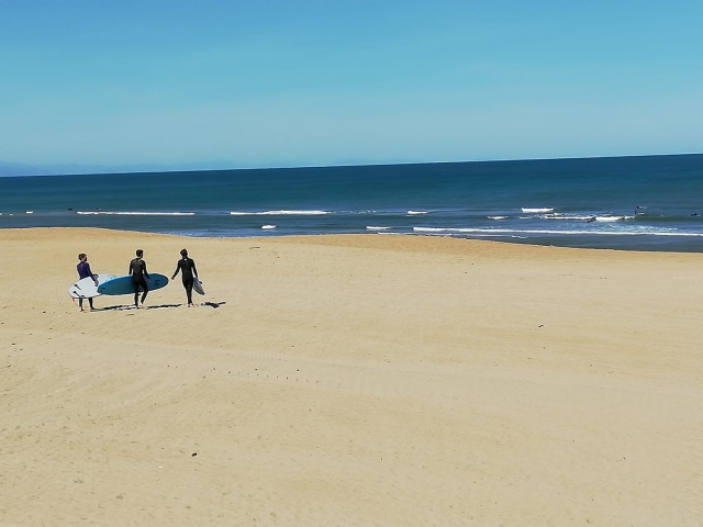  Clases de surf en grupo