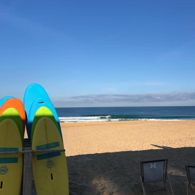  Venga a retomar tus tablas de surf