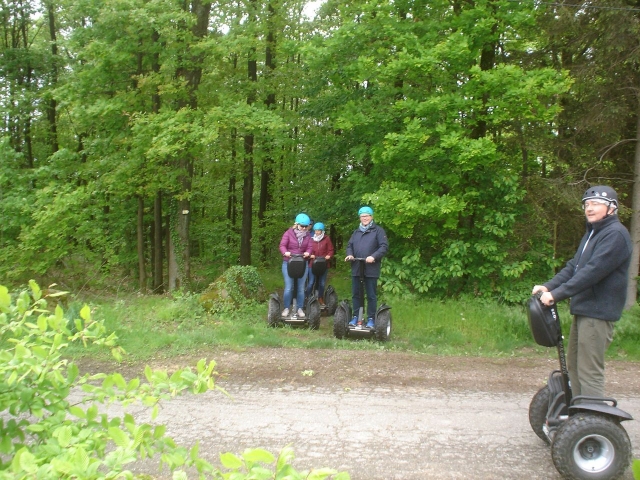  Breve pausa en el bosque 