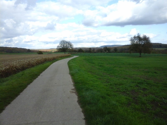  Paseo por Reichshoffen 