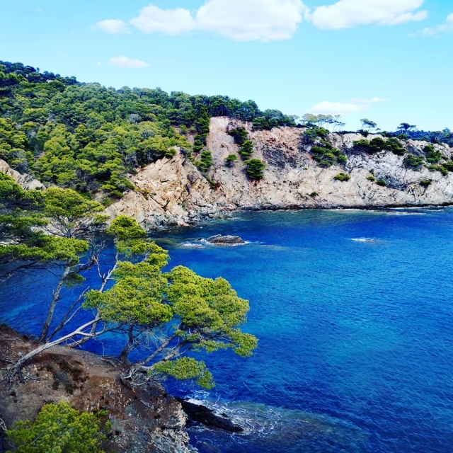  Visita a las islas de Hyères 