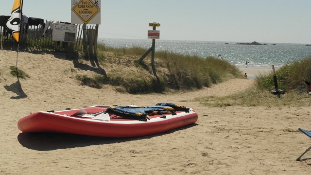 Remo giganle en la playa 