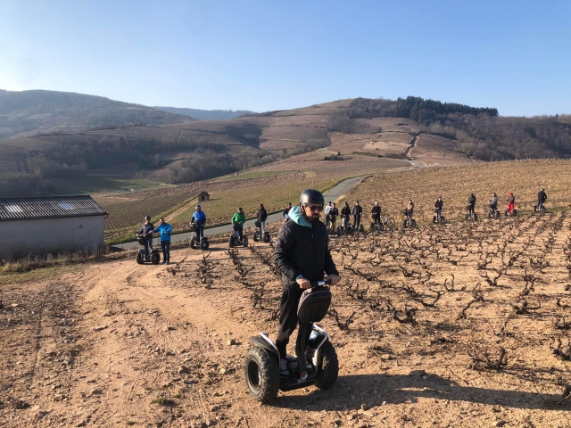 Paseo entre viñedos 