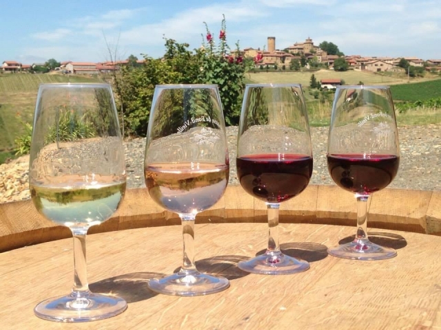  Descubrimiento de los vinos locales