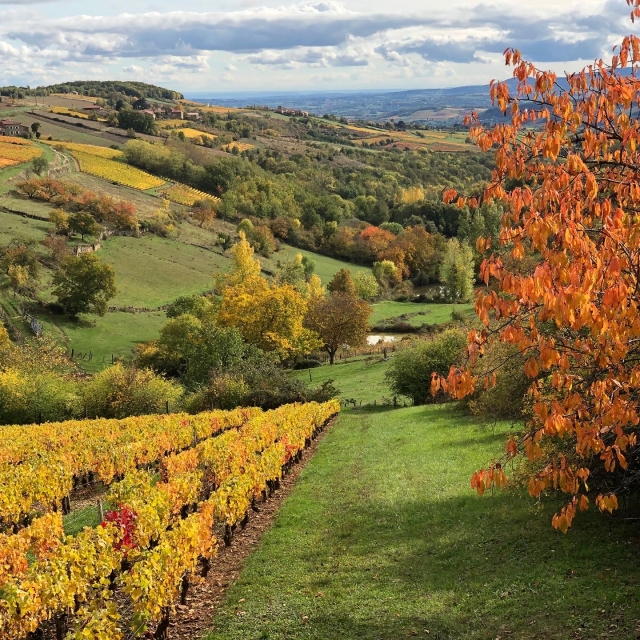  Un paisaje colorido 