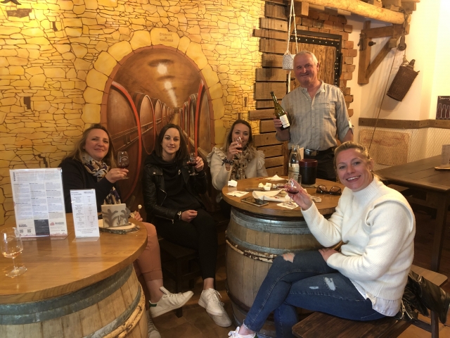 Degustación de vinos locales 