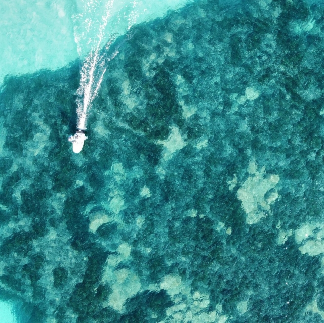  Descubre la isla de la belleza desde el mar 