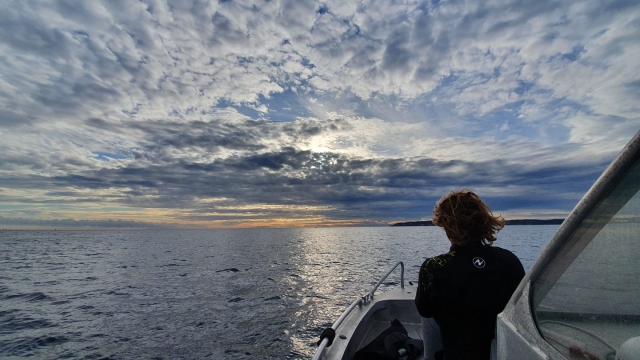  Buceo en Sainle Maxime 