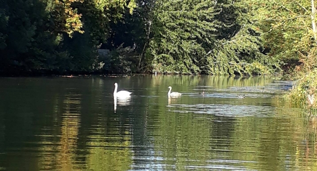 ¡Descubre la Venecia verde! 