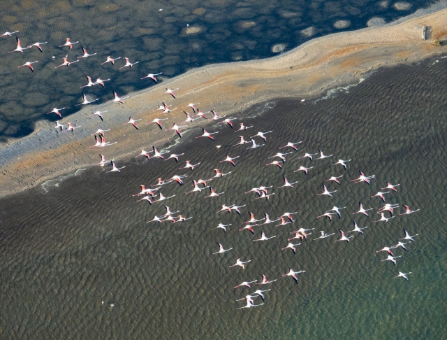 En comunión con la naturaleza