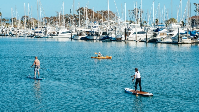 Paddleboarding, accesible a todos 