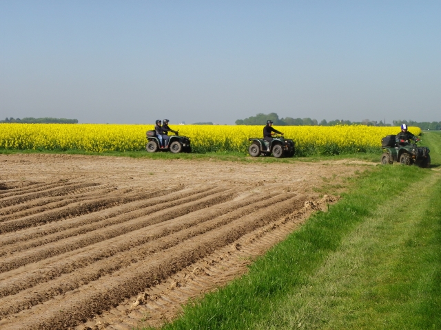  Camicrema en el campo 