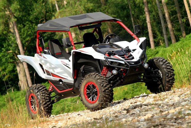Nuestro famoso buggy. 