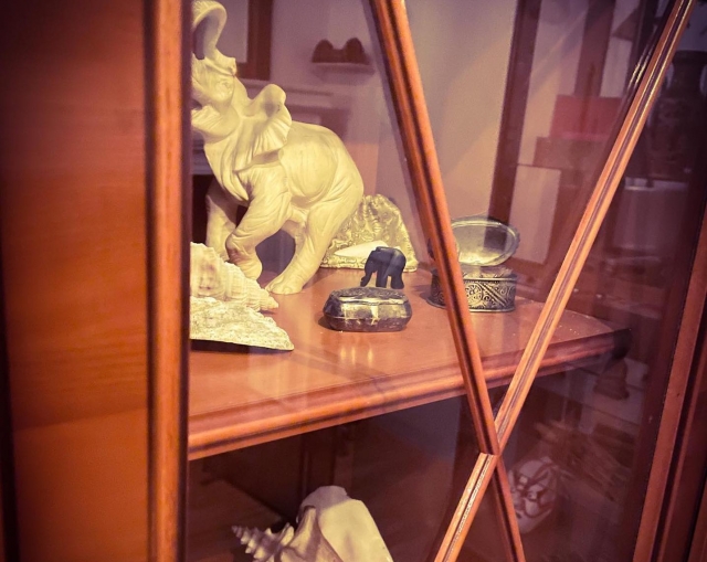  Figura de museo en una vitrina 