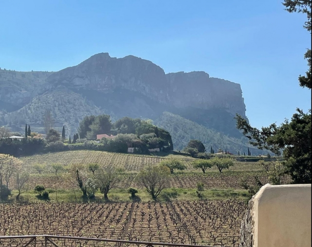  Zonas vitivinícolas imperdibles 