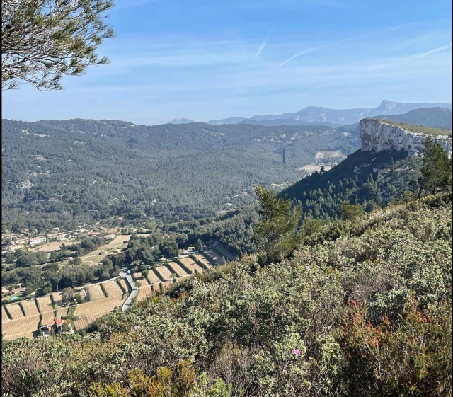  Magníficas tierras vitivinícolas 
