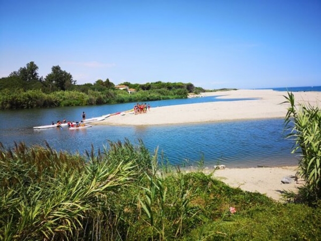 Vegetación bajo el sol del sur de Francia