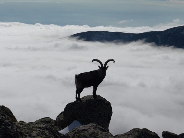 Por encima de las nubes 