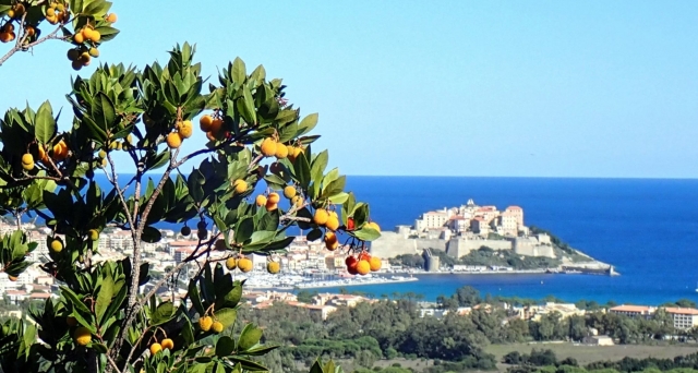 Una isla rica en biodiversidad