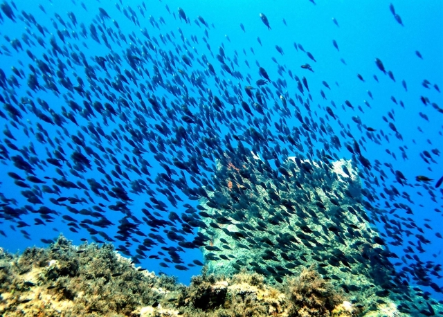 Recuerdos inolvidables