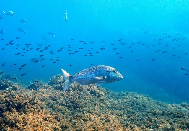 Una actividad para compartir