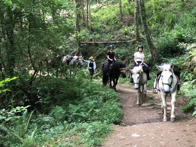  El bosque de Bagnères de Bigorre 
