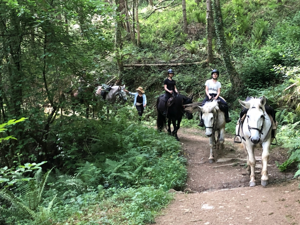 El bosque de Bagnères de Bigorre El bosque de Bagnères de Bigorre