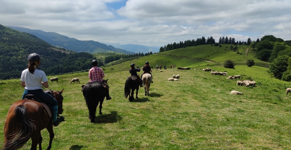 Pbaños a caballo por encima de la ciudad balneario de Bagnères de Bigorre Pbaños a caballo por encima de la ciudad balneario de Bagnères de Bigorre
