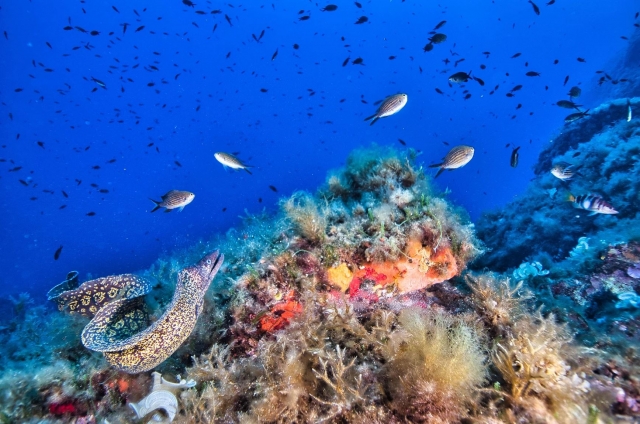  Magnífica biodiversidad