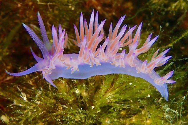  Una actividad para compartir 