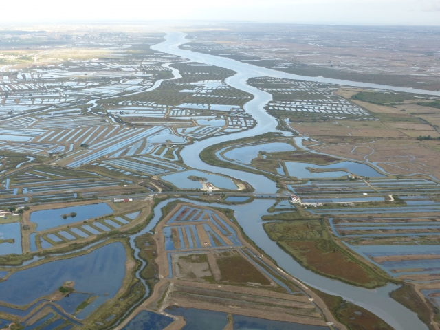  Las marismas de la Seudre 